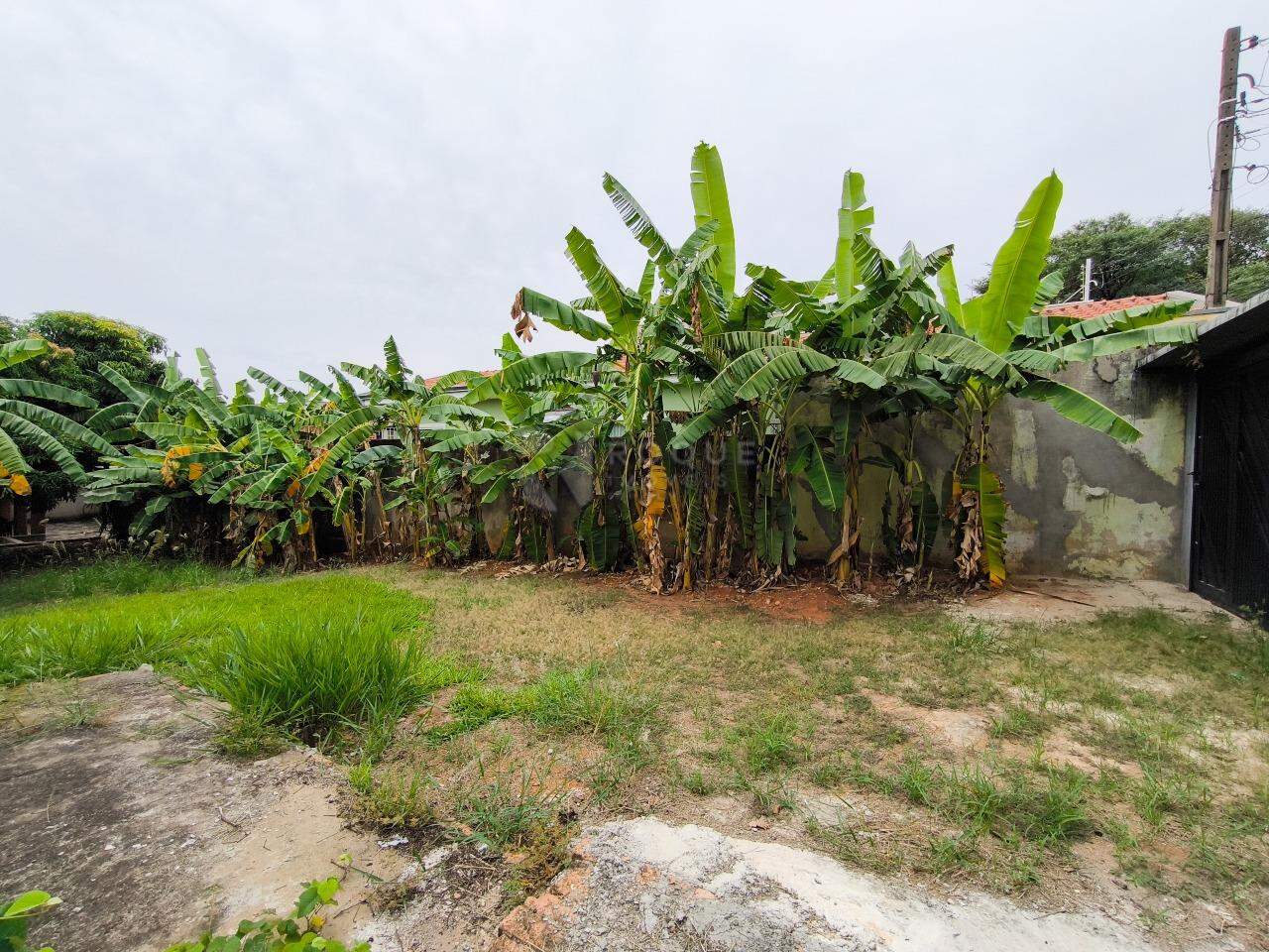 Terreno à venda no bairro Cidade Jardim: 