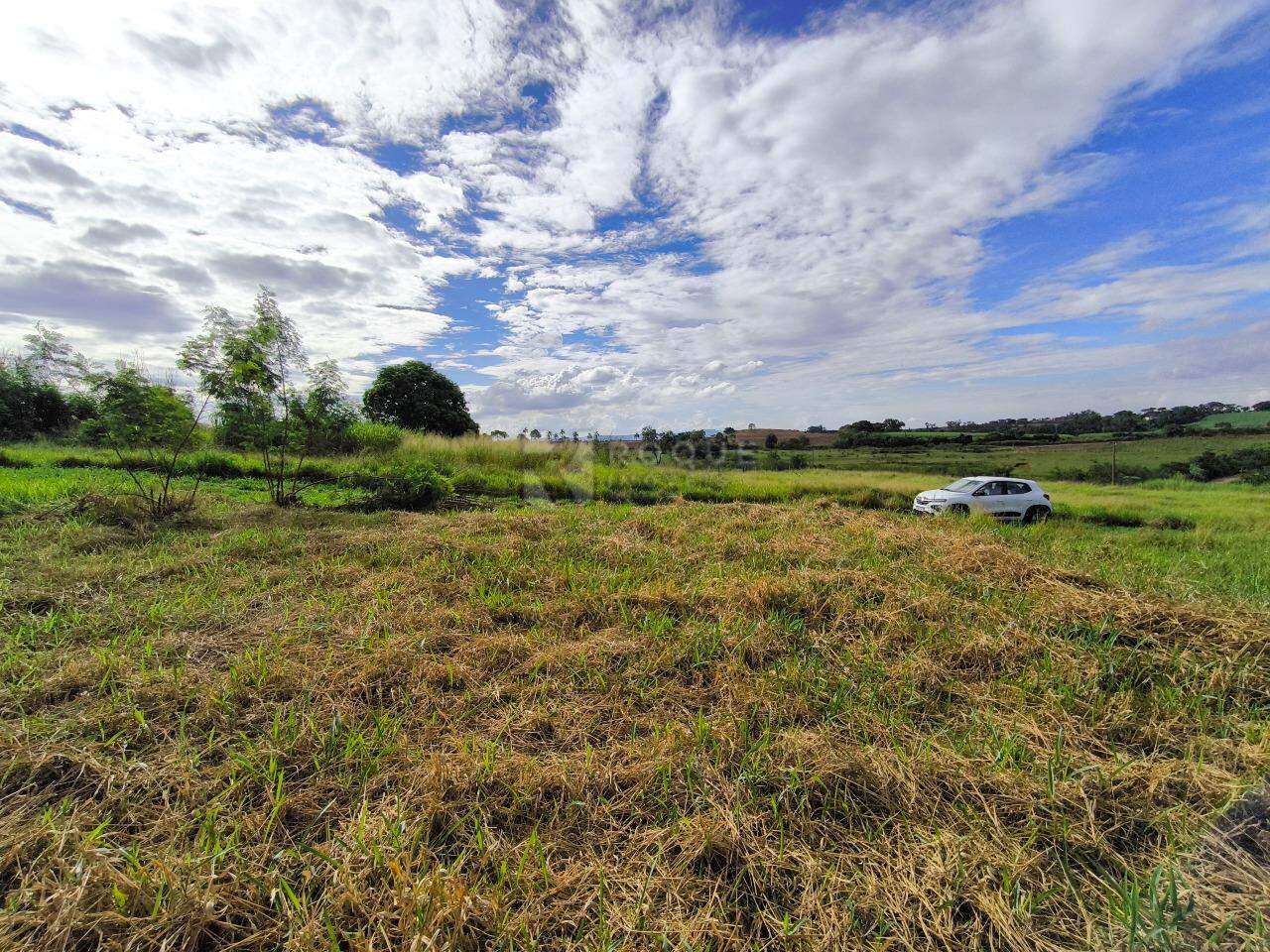 Terreno à venda no bairro Lagoa Nova: 