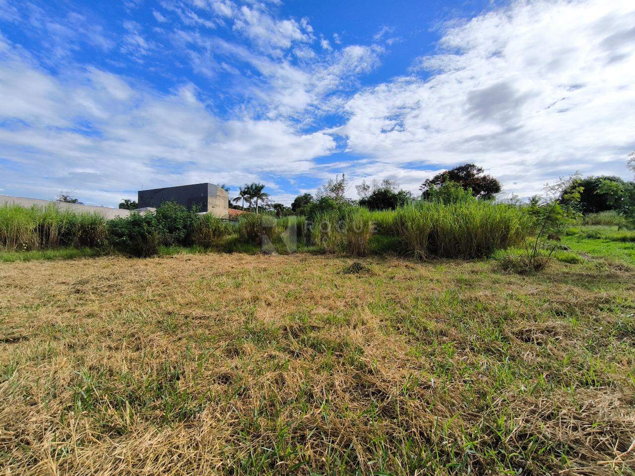 Terreno à venda no bairro Lagoa Nova: 