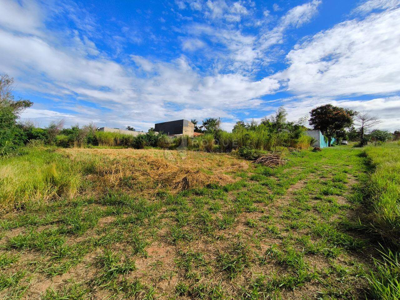Terreno à venda no bairro Lagoa Nova: 