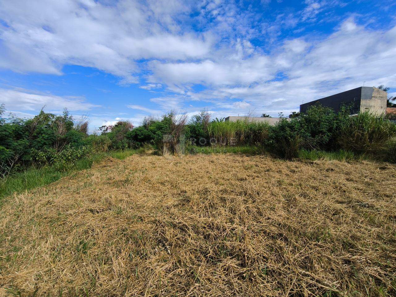 Terreno à venda no bairro Lagoa Nova: 