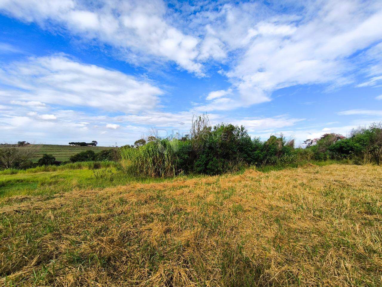 Terreno à venda no bairro Lagoa Nova: 