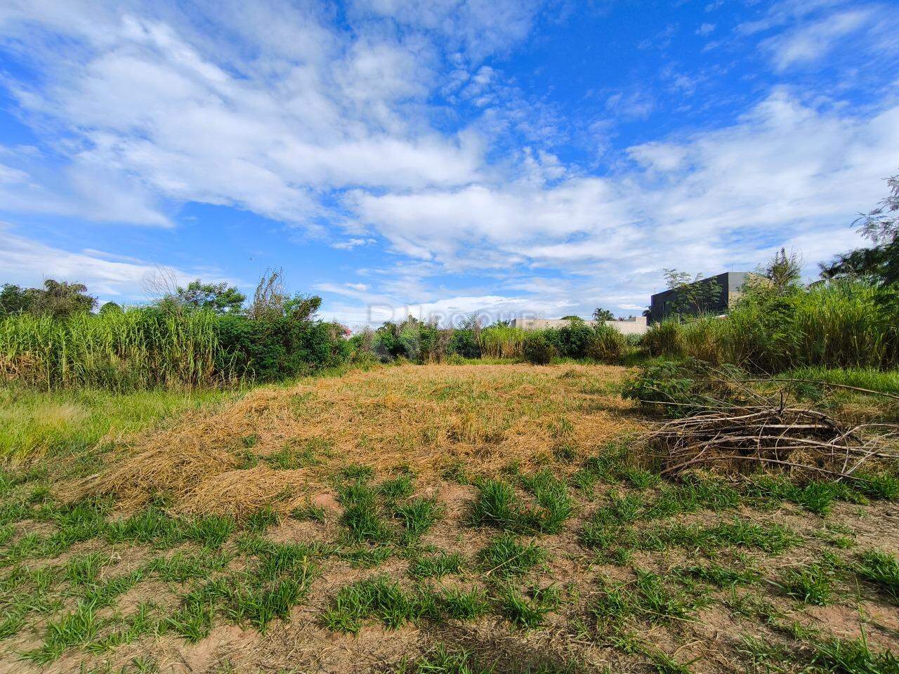 Terreno à venda no bairro Lagoa Nova: FRENTE