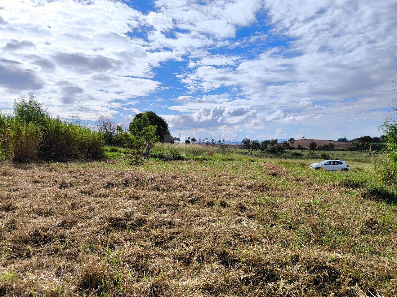 Terreno à venda no bairro Lagoa Nova: 