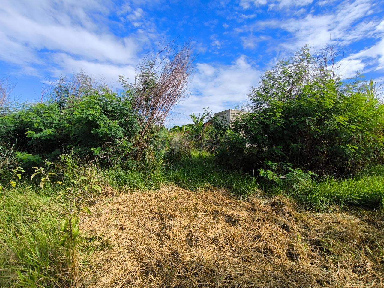 Terreno à venda no bairro Lagoa Nova: 