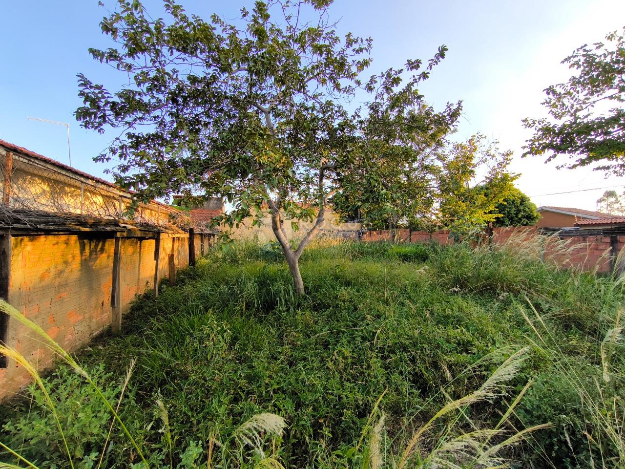 Terreno à venda no bairro Parque das Nações: 