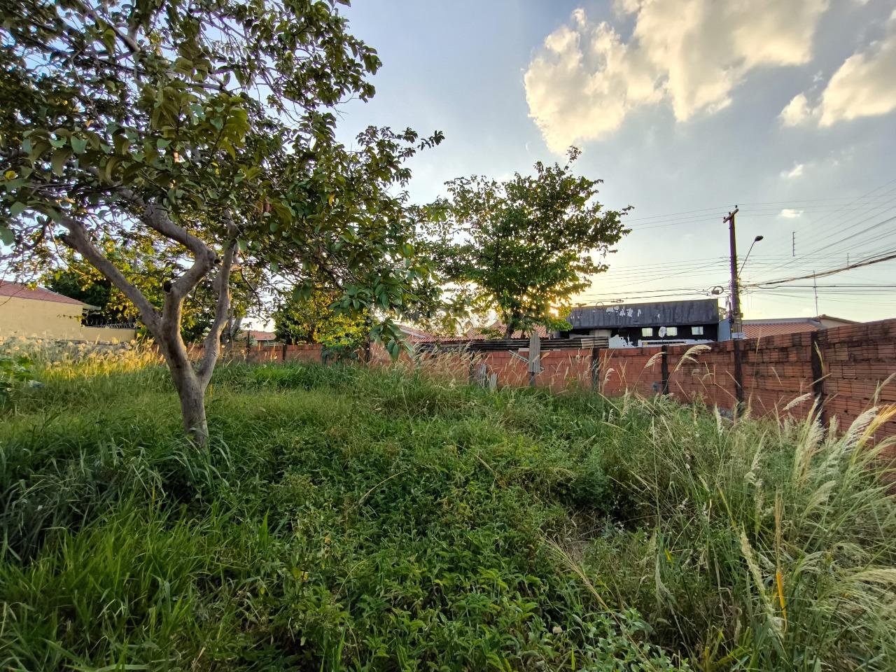 Terreno à venda no bairro Parque das Nações: 