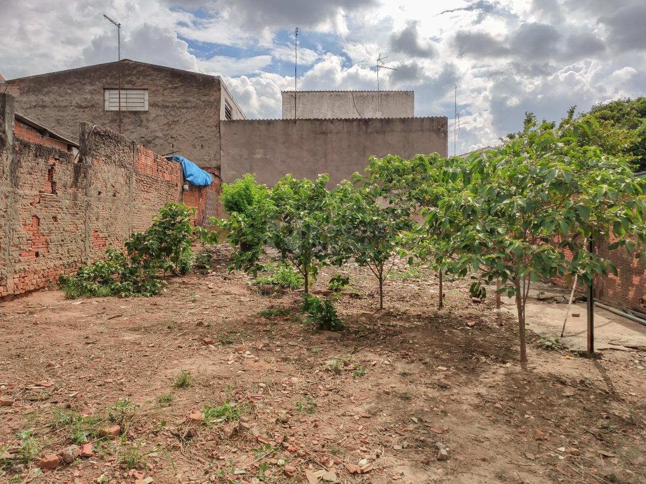 Terreno para aluguel no bairro Jardim Nova Europa: Terreno 