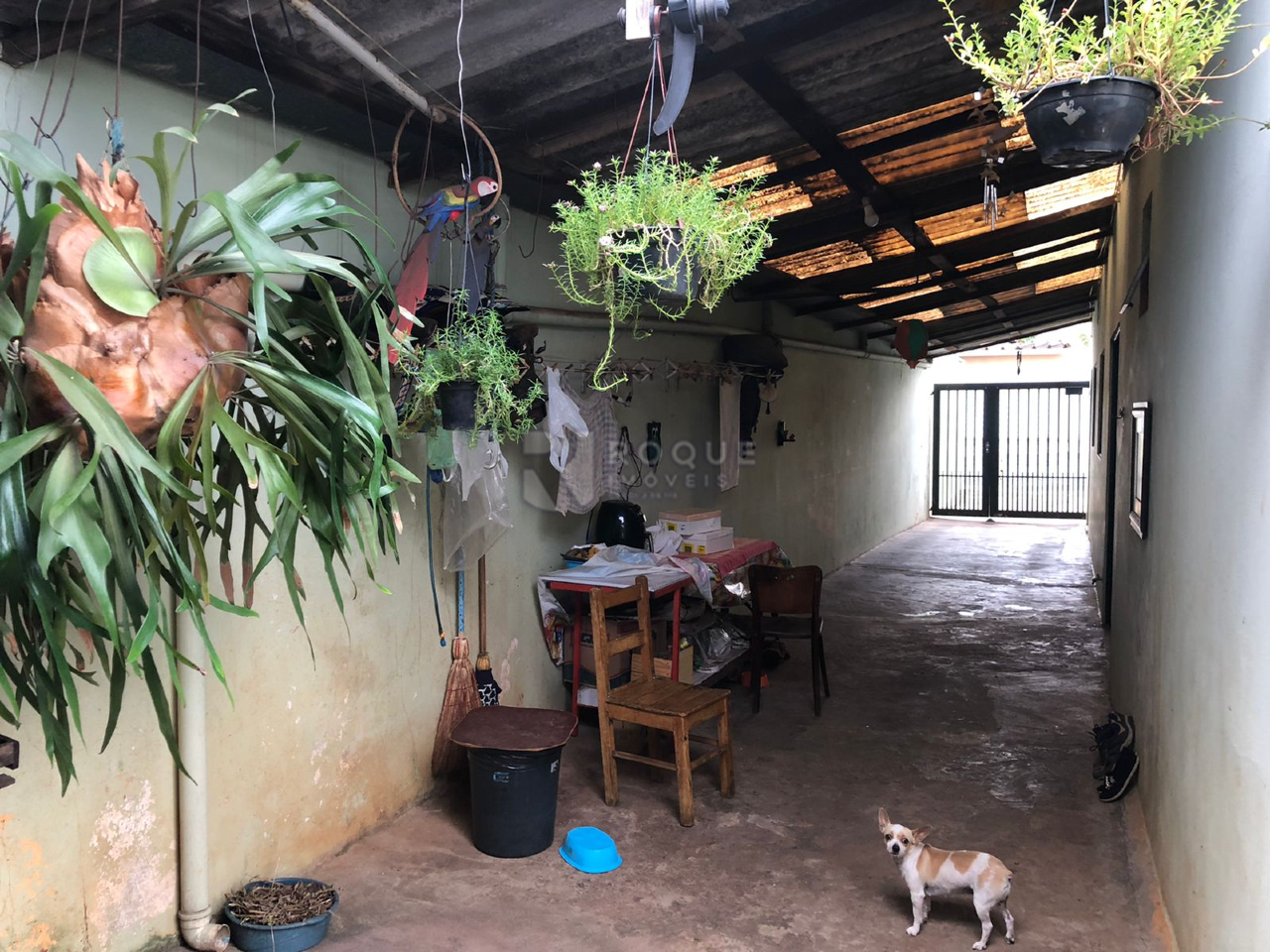 Salão à venda no bairro Jardim Cavinato: