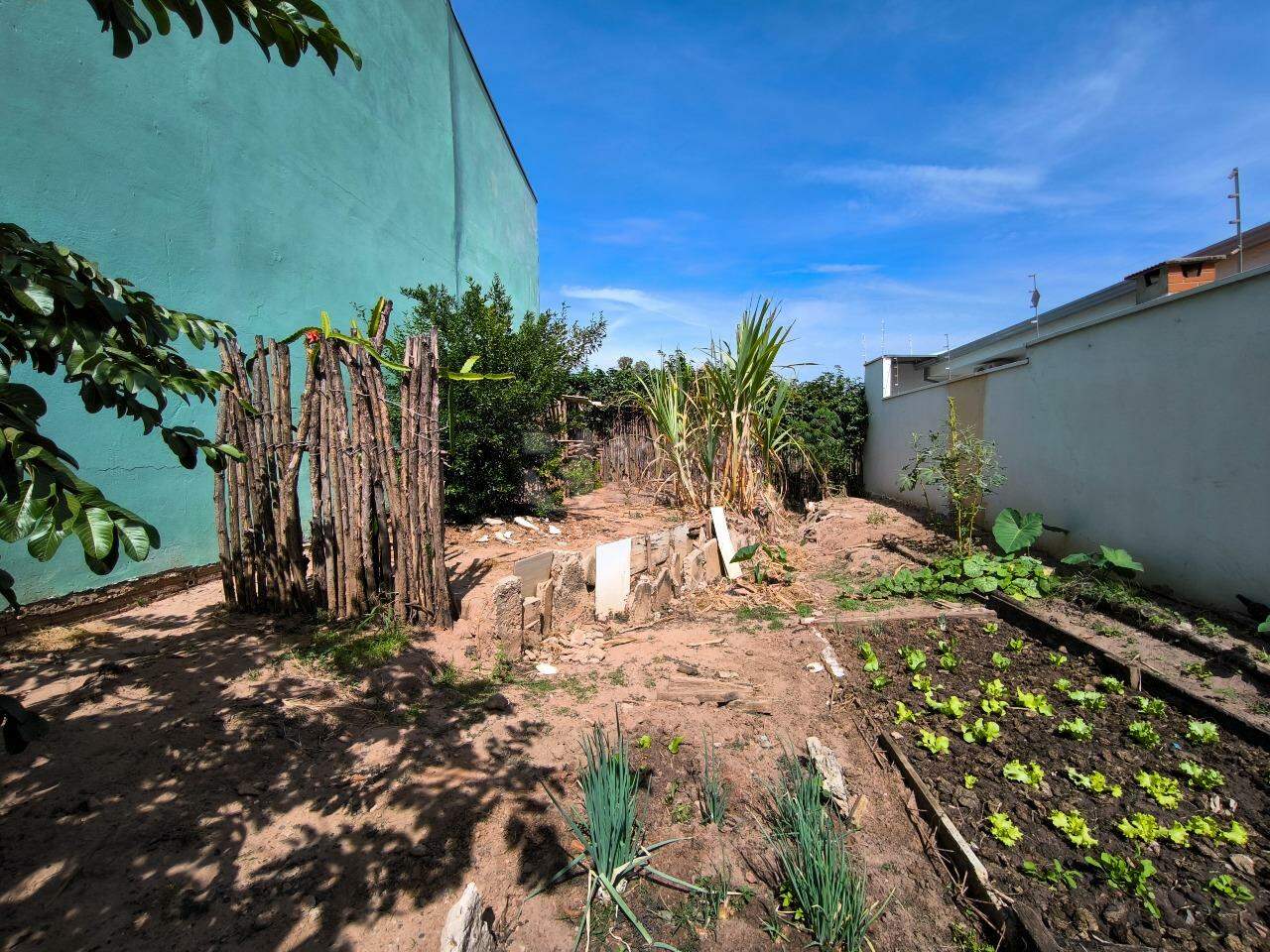 Terreno à venda no bairro Jardim Adélia Cavicchia Grotta: 