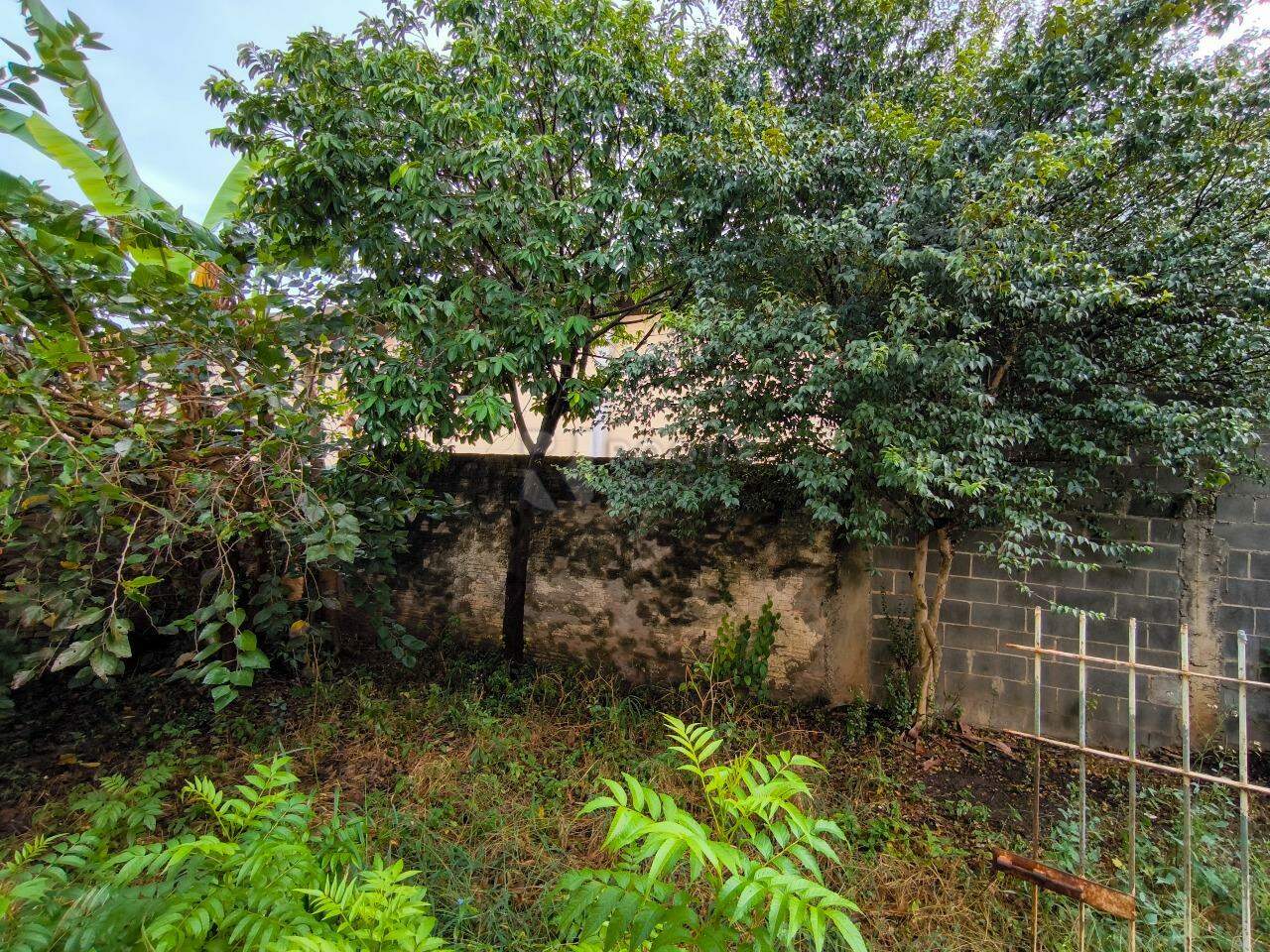 Casa Residencial à venda no bairro Vila Labaki: QUINTAL
