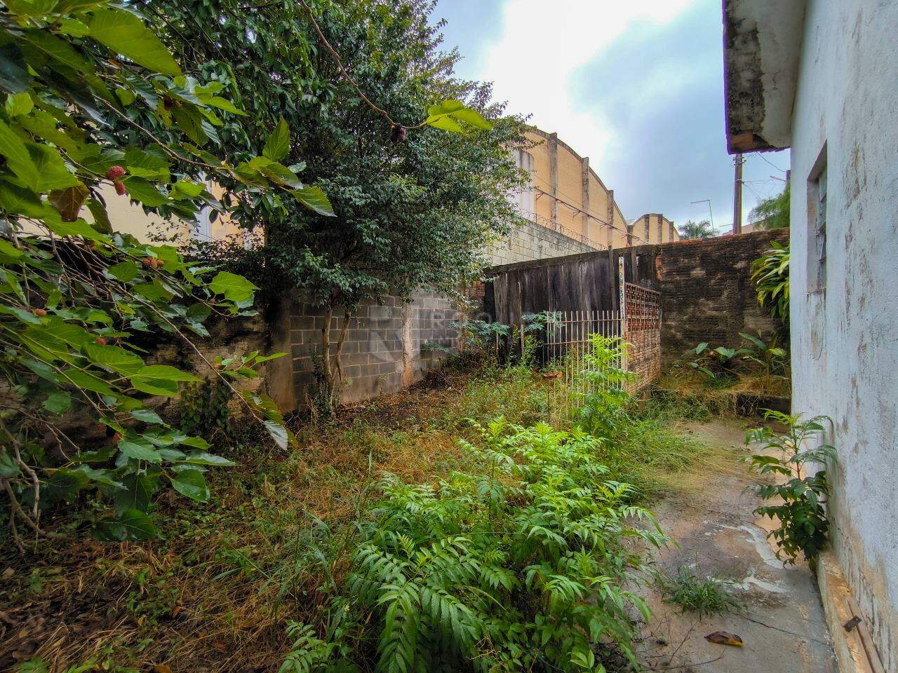 Casa Residencial à venda no bairro Vila Labaki: QUINTAL