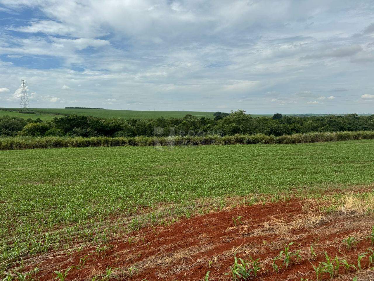 Área à venda no bairro Gleba I: 