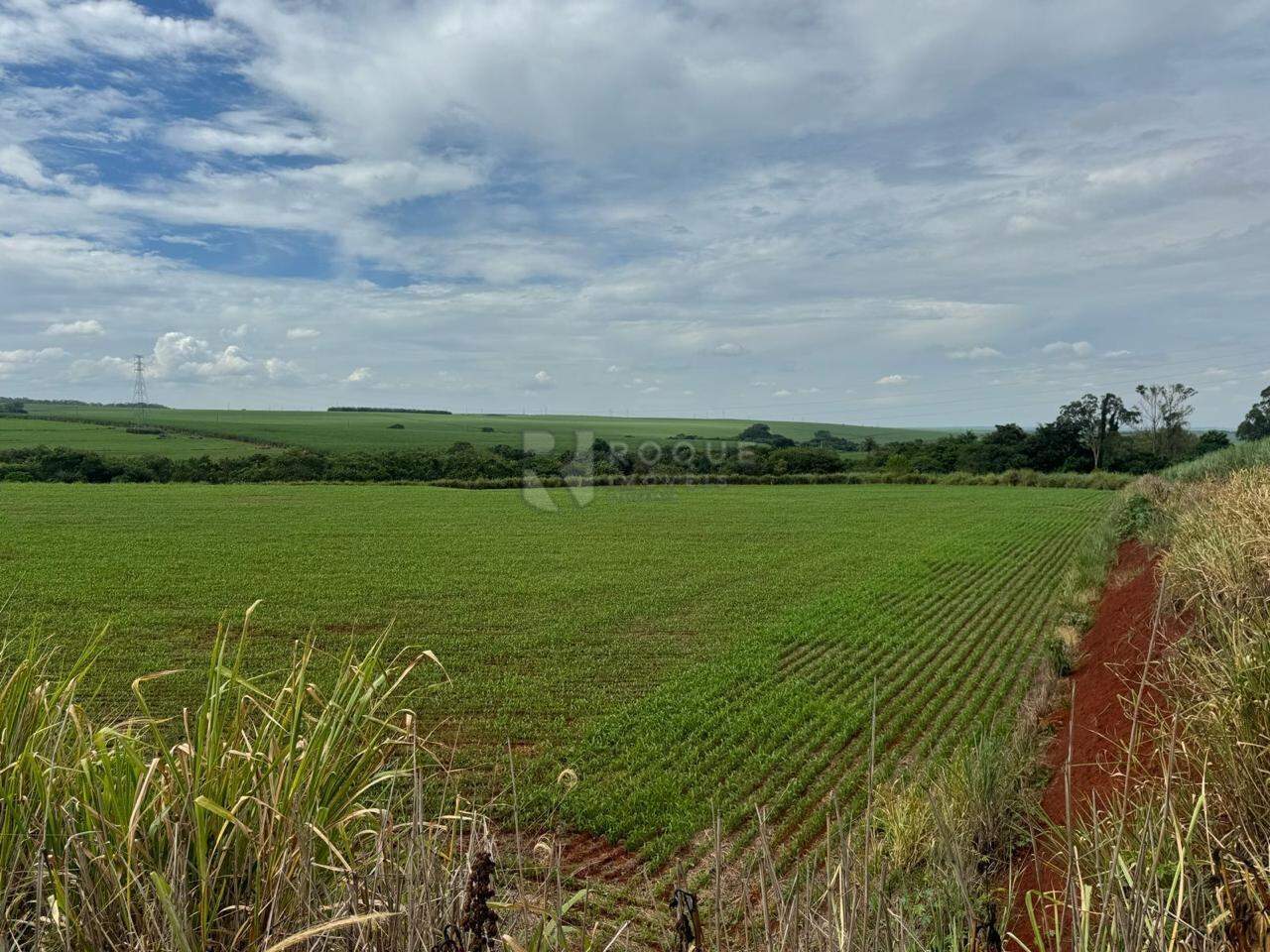 Área à venda no bairro Gleba I: 