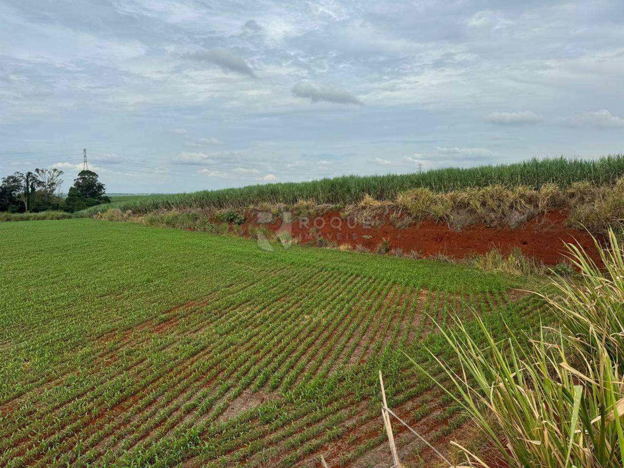Área à venda no bairro Gleba I: 