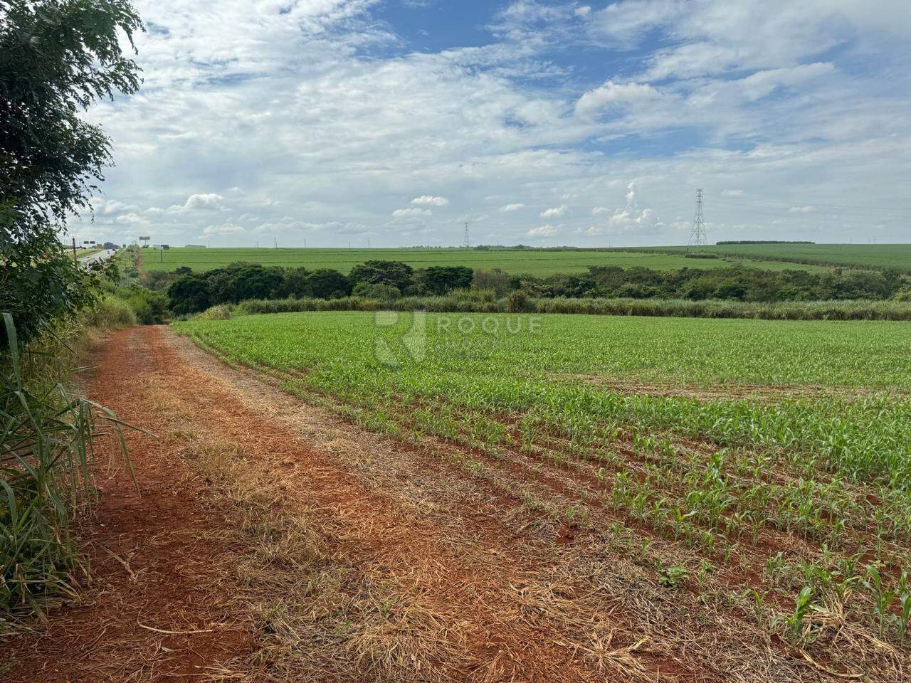 Área à venda no bairro Gleba I: 