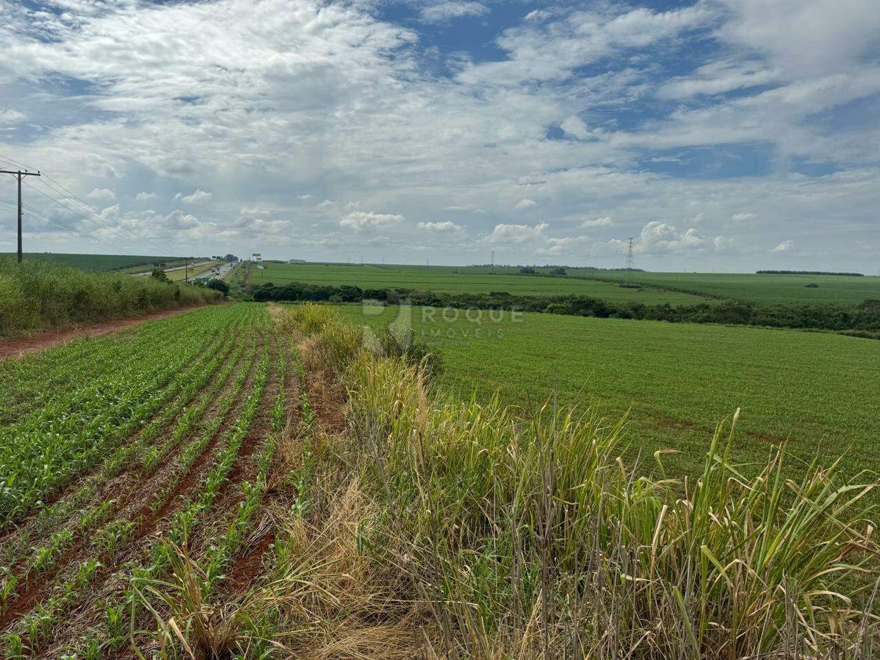 Área à venda no bairro Gleba I: 
