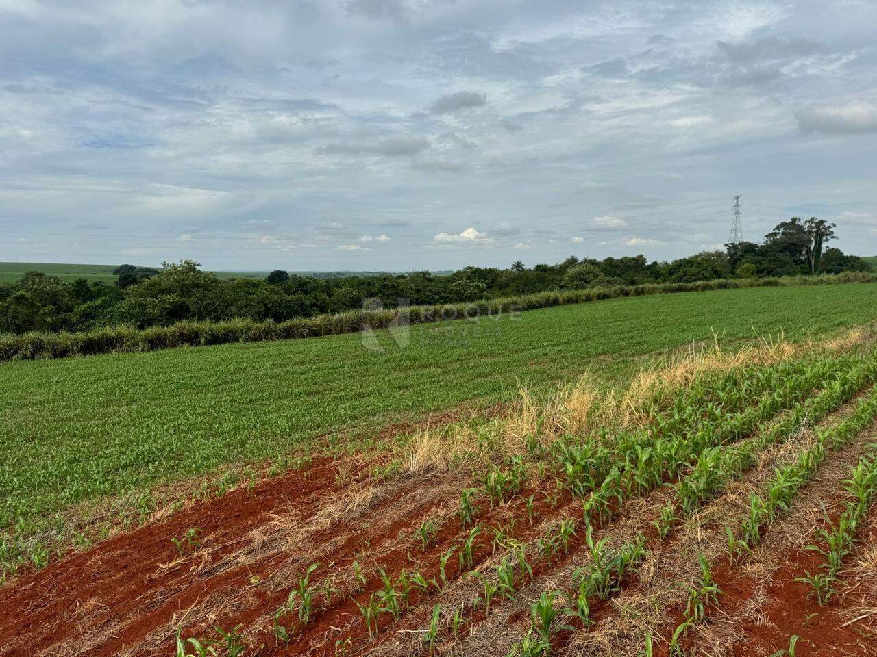 Área à venda no bairro Gleba I: 
