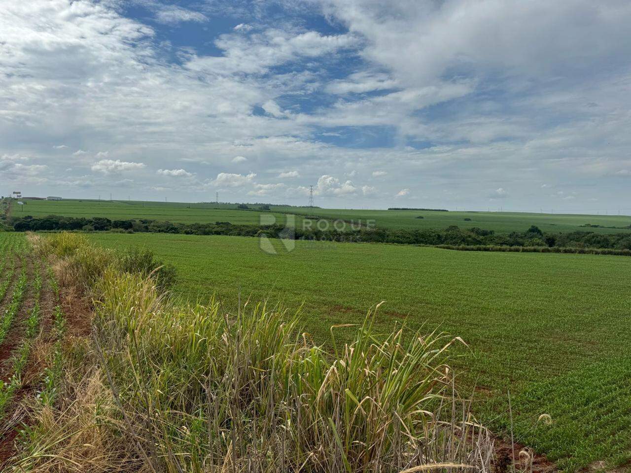 Área à venda no bairro Gleba I: 