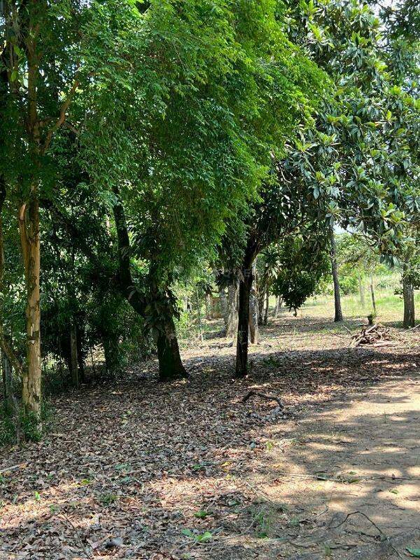 Chácara à venda no bairro Cascata: