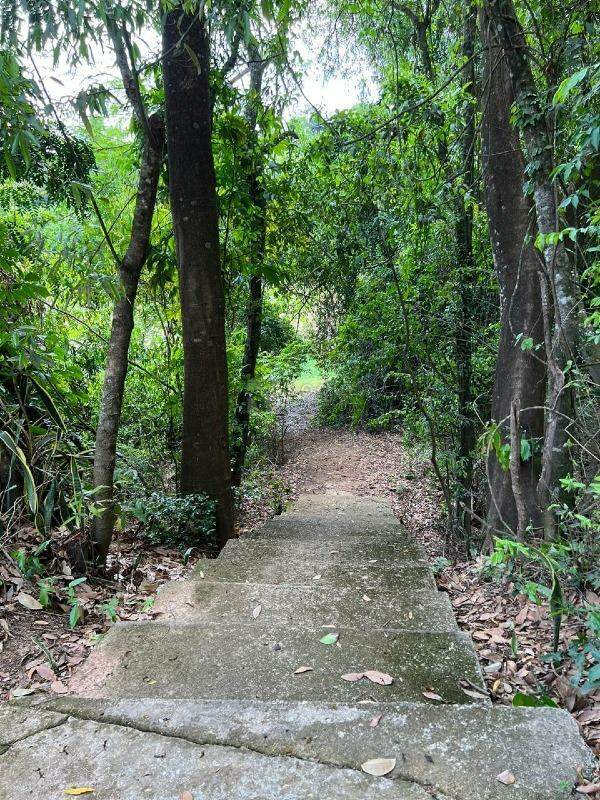 Chácara à venda no bairro Cascata: