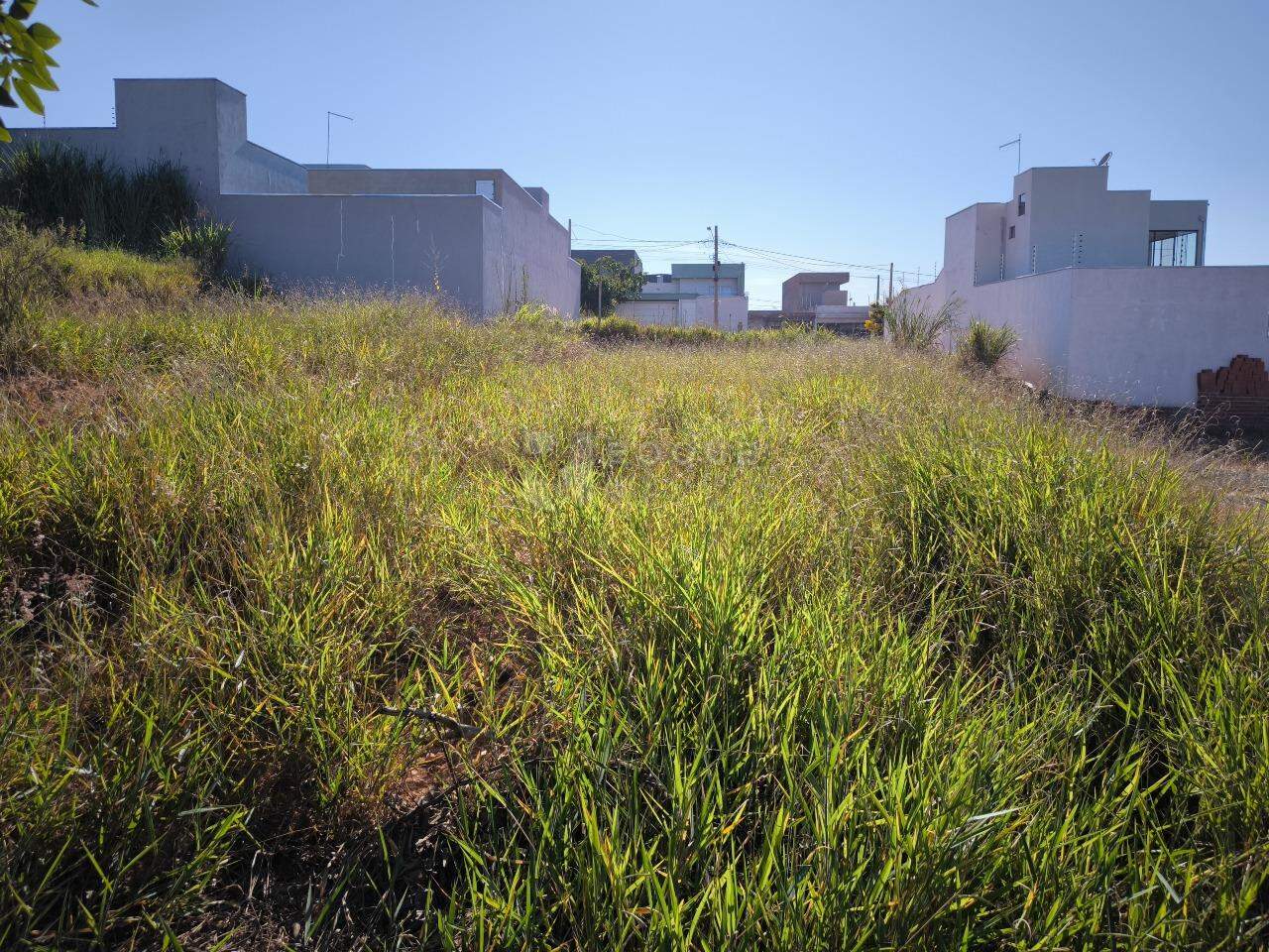 Terreno à venda no bairro Jardim Marajoara: 