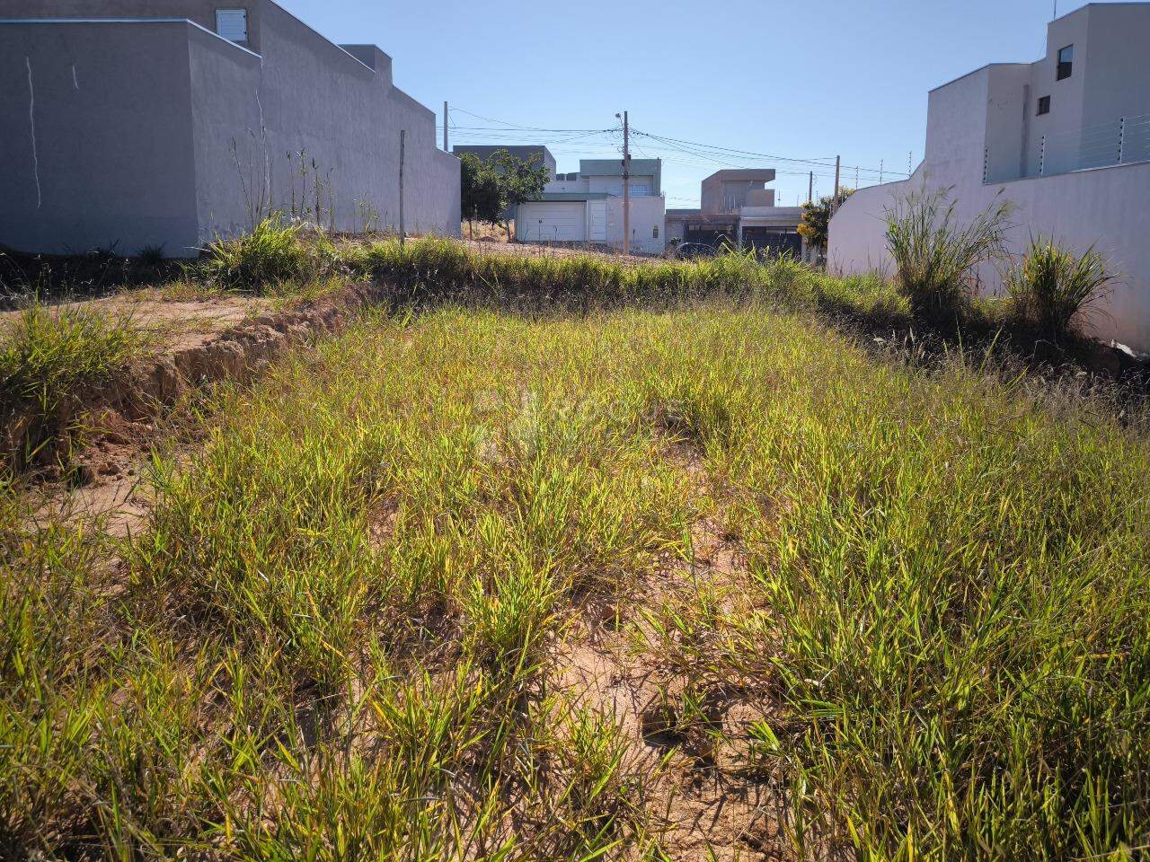 Terreno à venda no bairro Jardim Marajoara: 