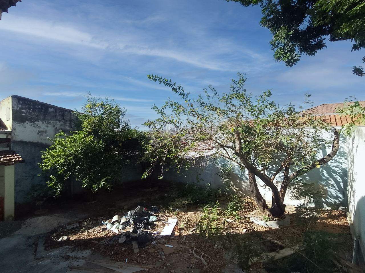 Casa com salão para aluguel no bairro Jardim São Manoel: Quintal