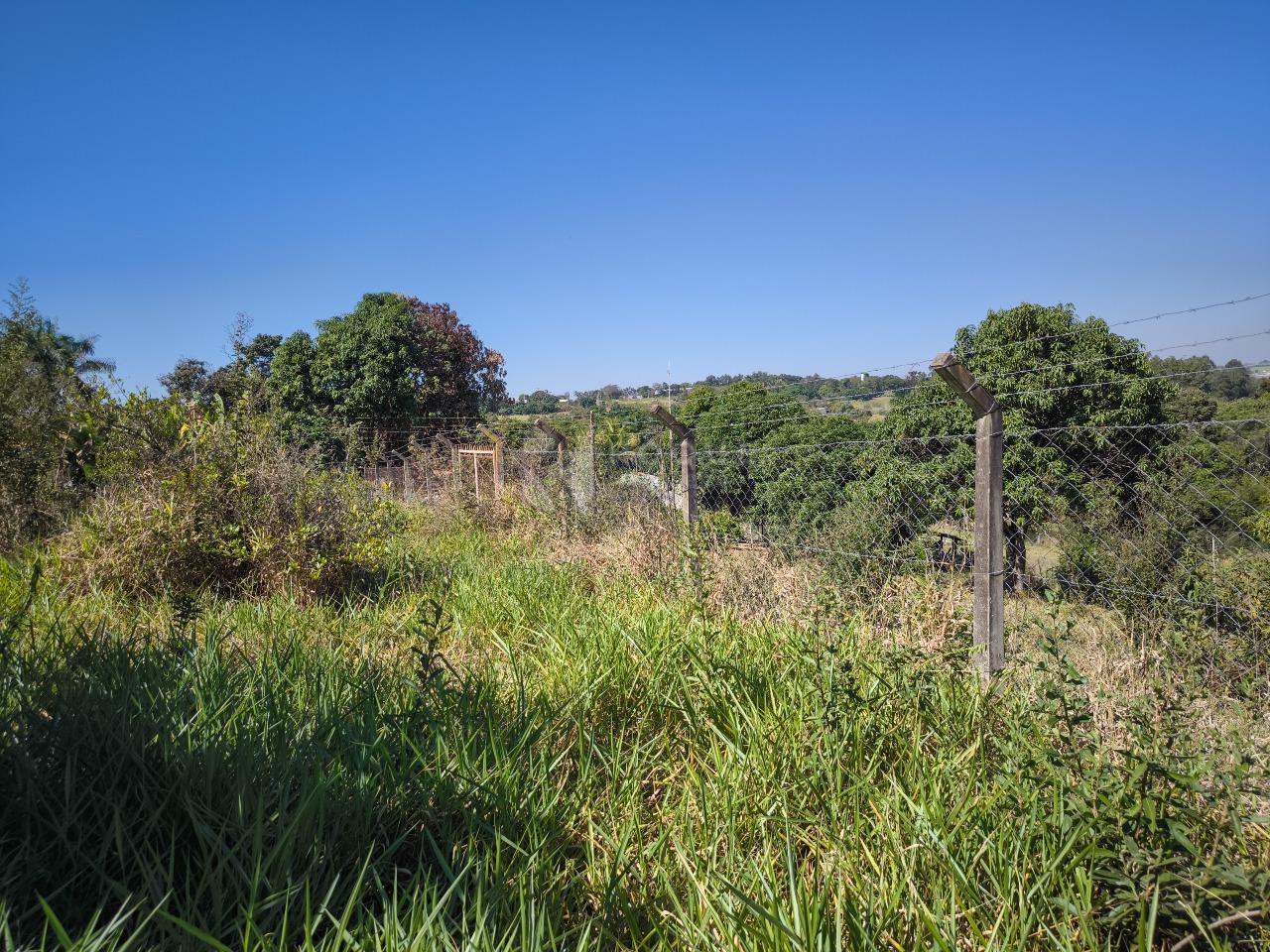 Chácara à venda no bairro Área Rural de Limeira: ÁREA VERDE