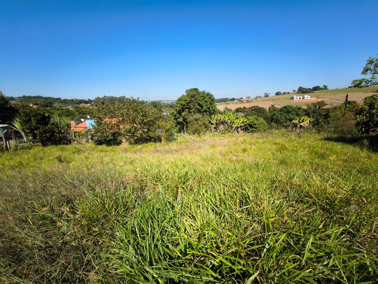 Chácara à venda no bairro Área Rural de Limeira: ÁREA VERDE