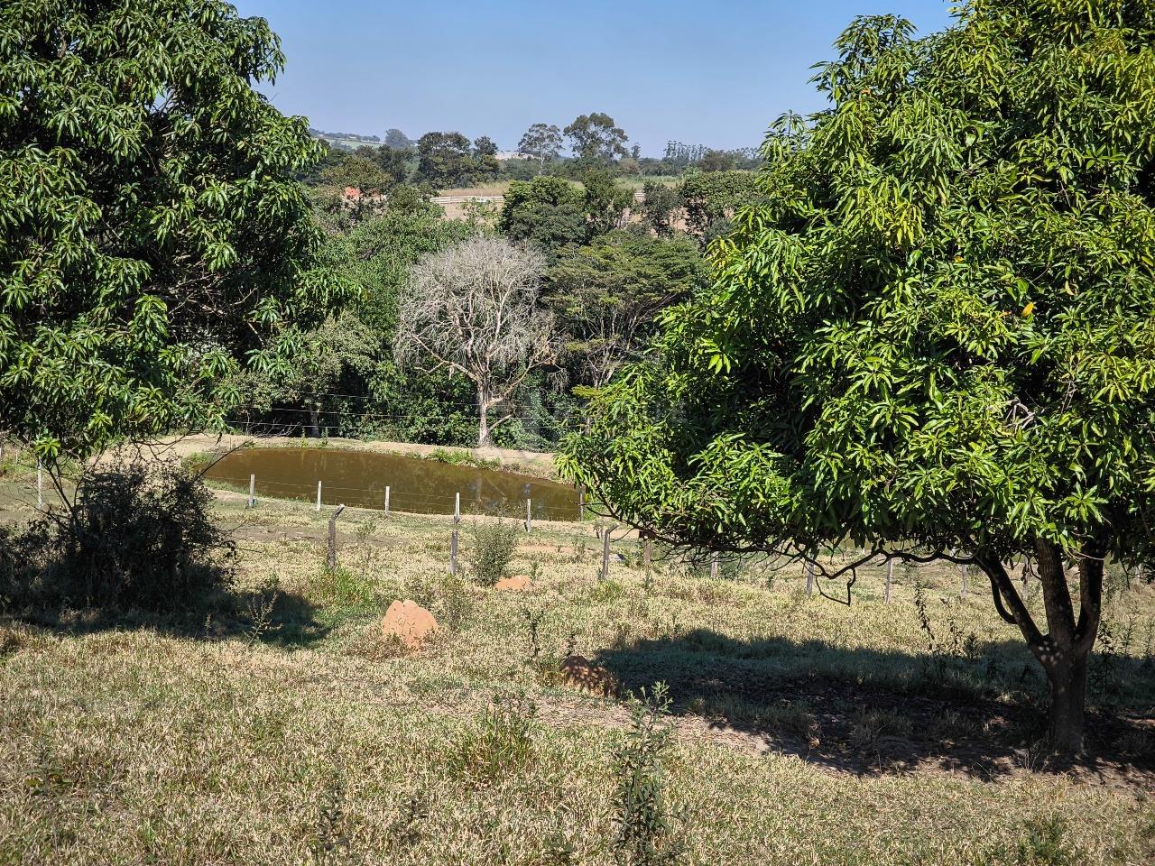 Chácara à venda no bairro Área Rural de Limeira: ÁREA VERDE