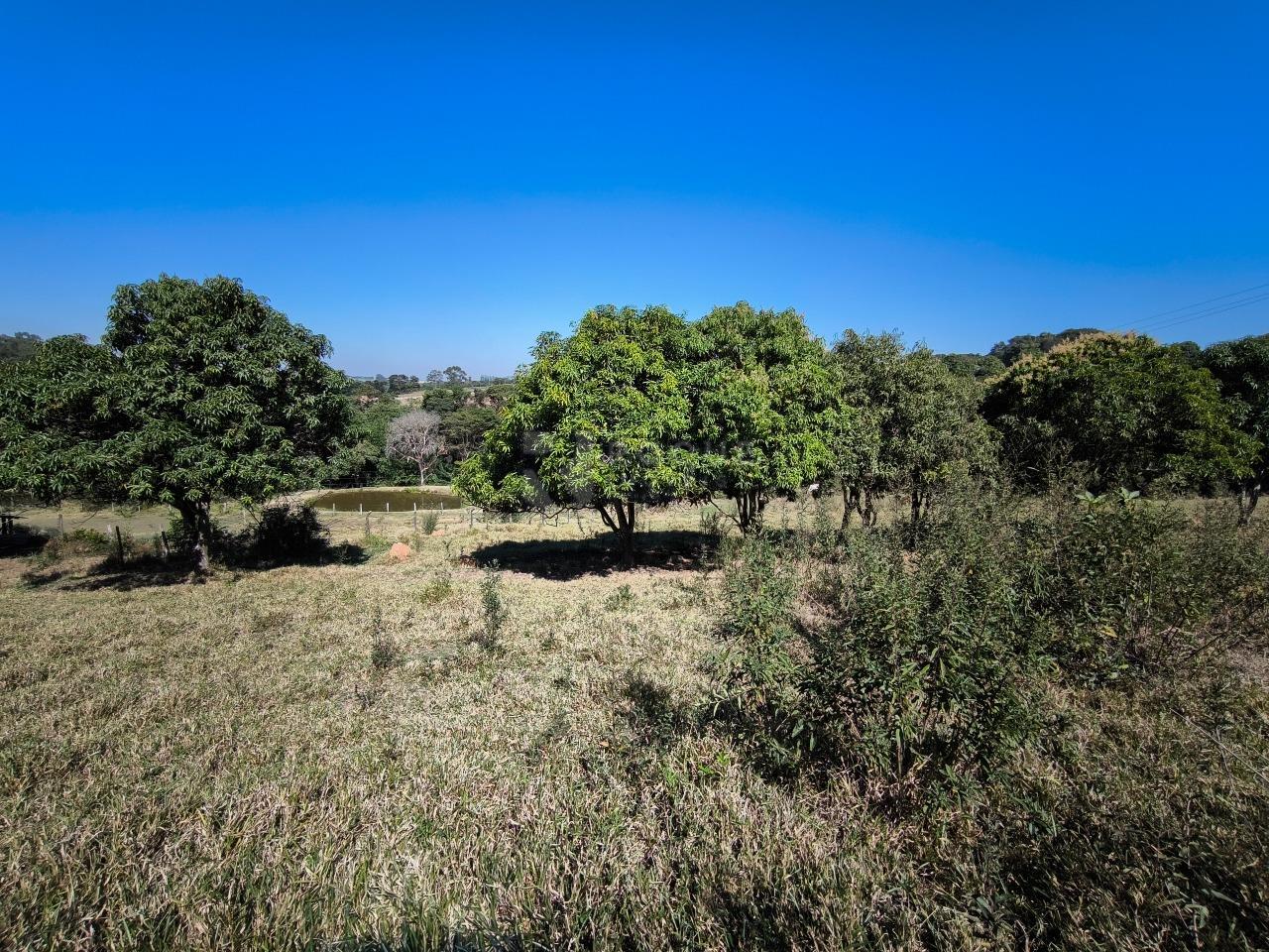 Chácara à venda no bairro Área Rural de Limeira: ÁREA VERDE