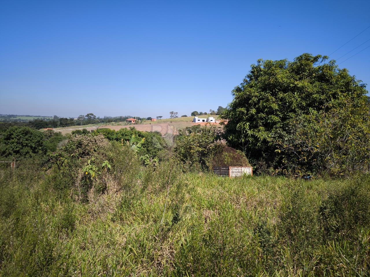 Chácara à venda no bairro Área Rural de Limeira: ÁREA VERDE