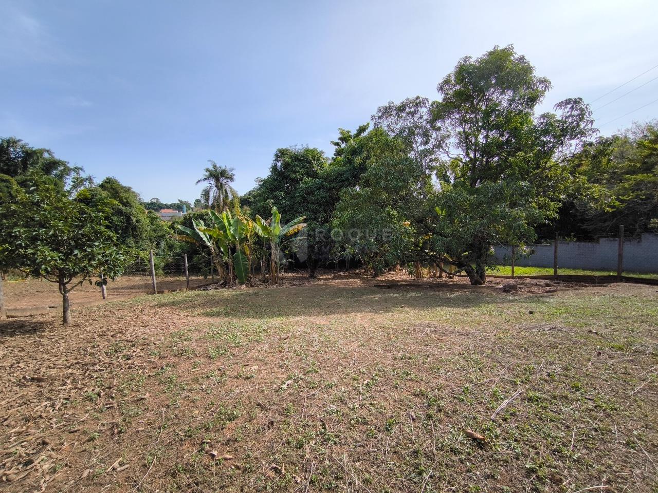 Chácara à venda no bairro Pires de Cima: ÁREA VERDE