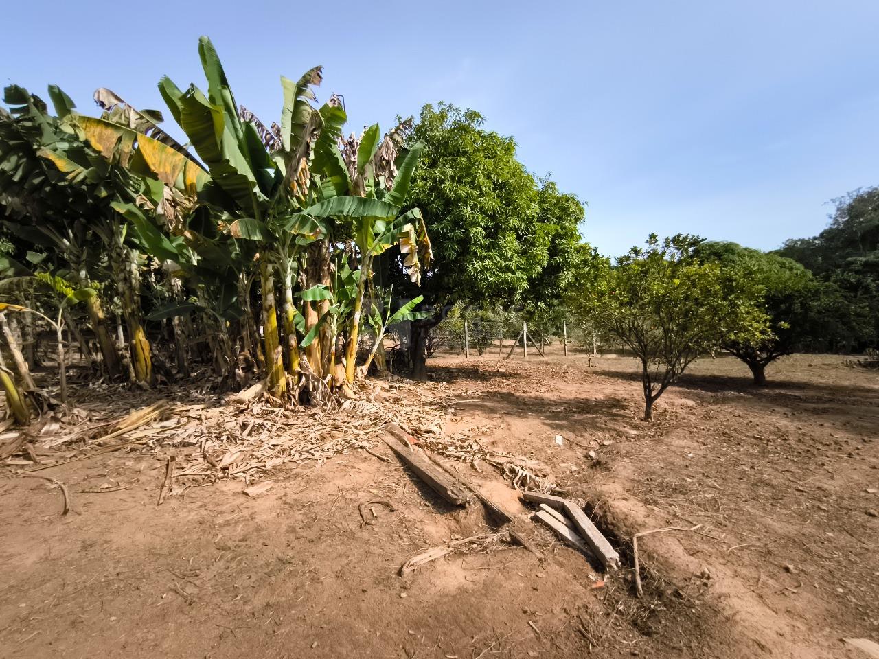 Chácara à venda no bairro Pires de Cima: ÁREA VERDE