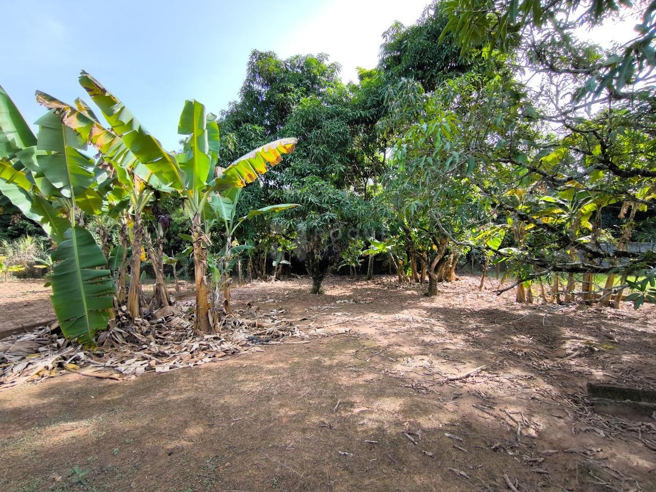 Chácara à venda no bairro Pires de Cima: ÁREA VERDE