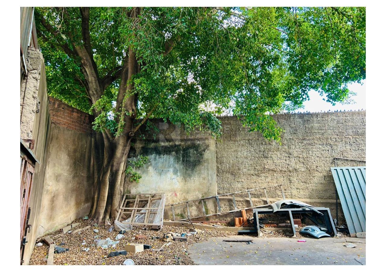 Barracão/Galpão à venda no bairro Vila Fascina: 