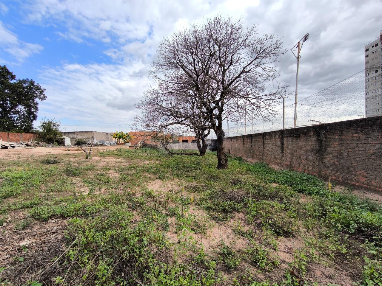 Terreno à venda no bairro Jardim Manacá: 