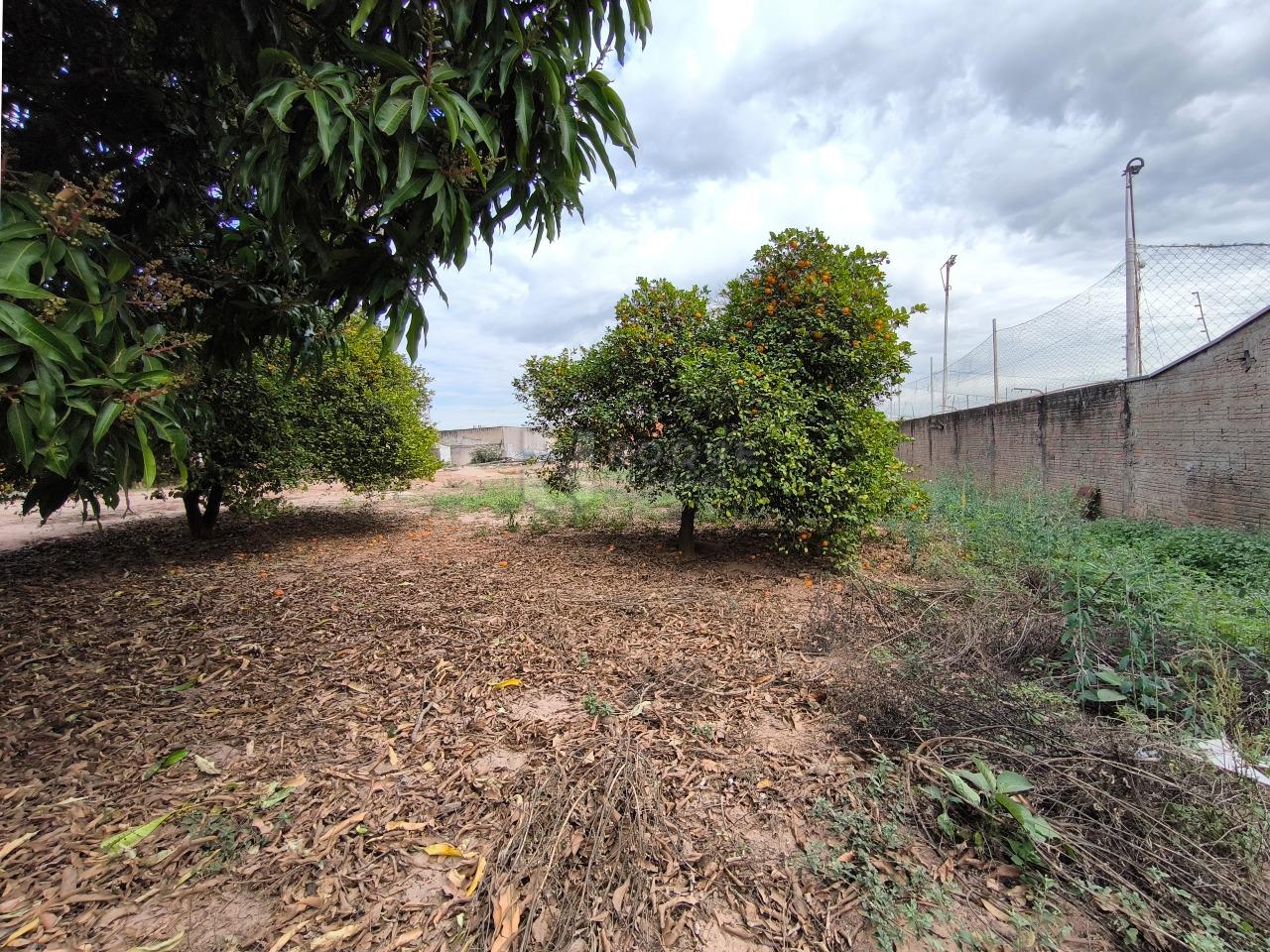 Terreno à venda no bairro Jardim Manacá: 