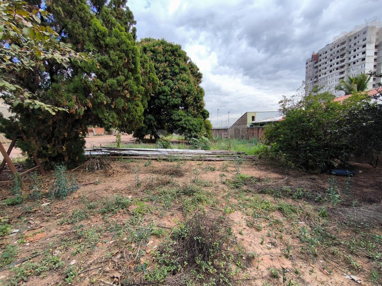 Terreno à venda no bairro Jardim Manacá: 