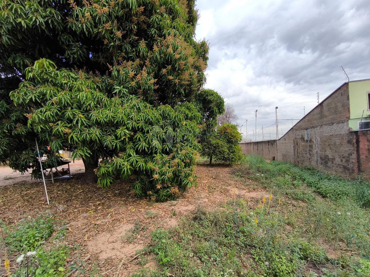 Terreno à venda no bairro Jardim Manacá: 