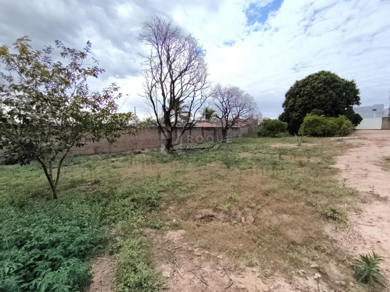 Terreno à venda no bairro Jardim Manacá: 