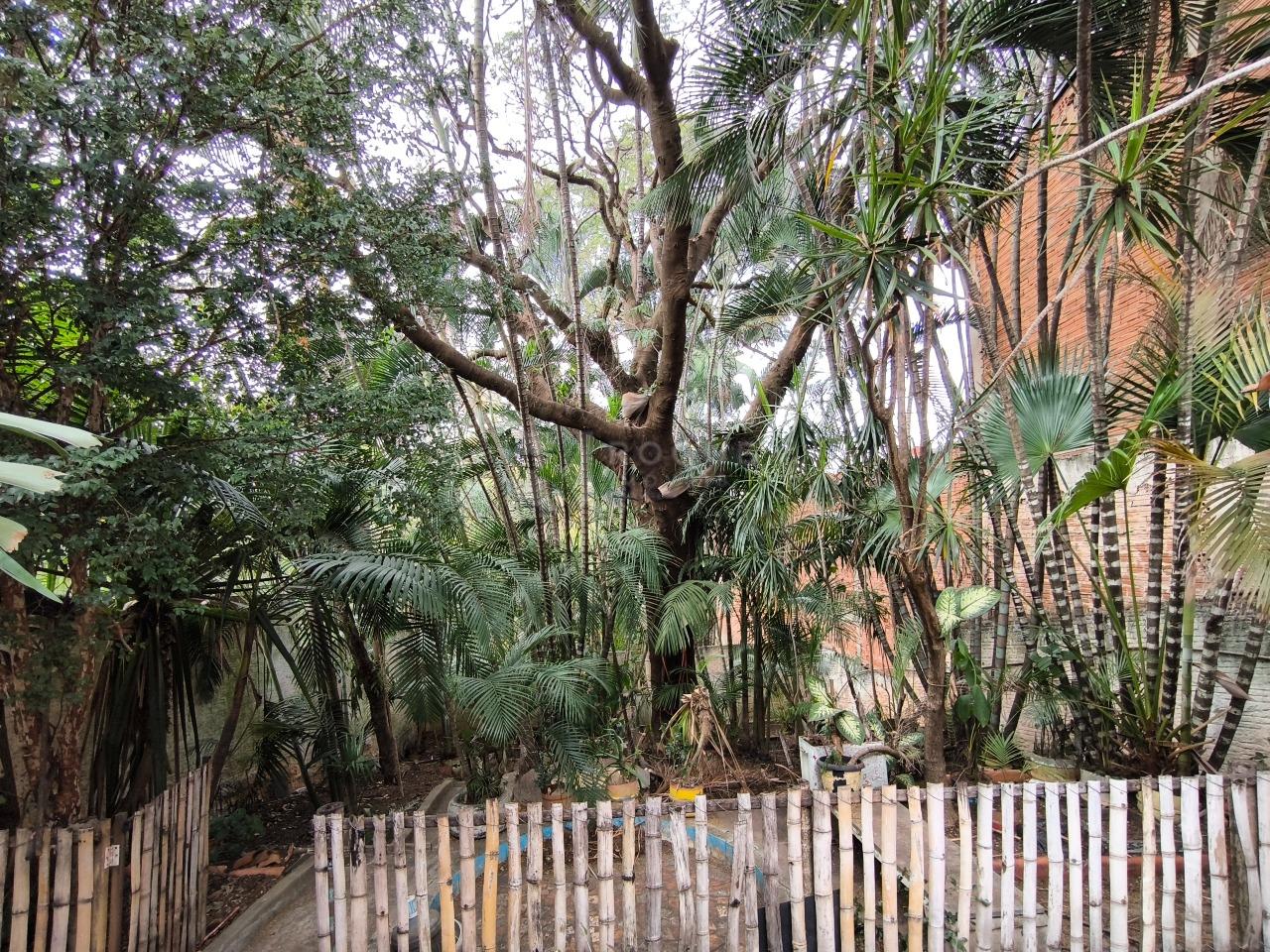 Casa Residencial à venda no bairro Vila Queiroz: ÁREA VERDE