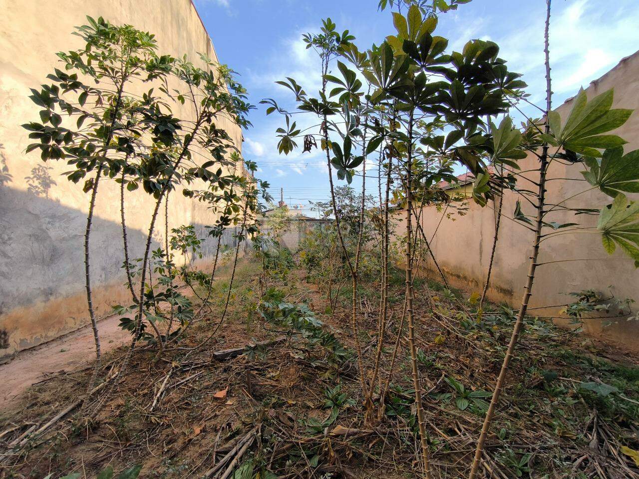 Terreno à venda no bairro Jardim Residencial Santa Amália: 