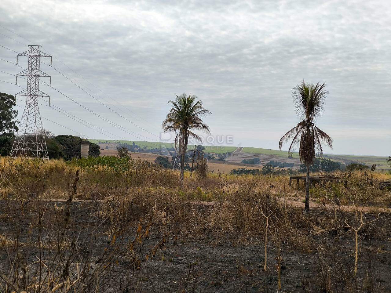 Área à venda no bairro Área Rural de Limeira: 
