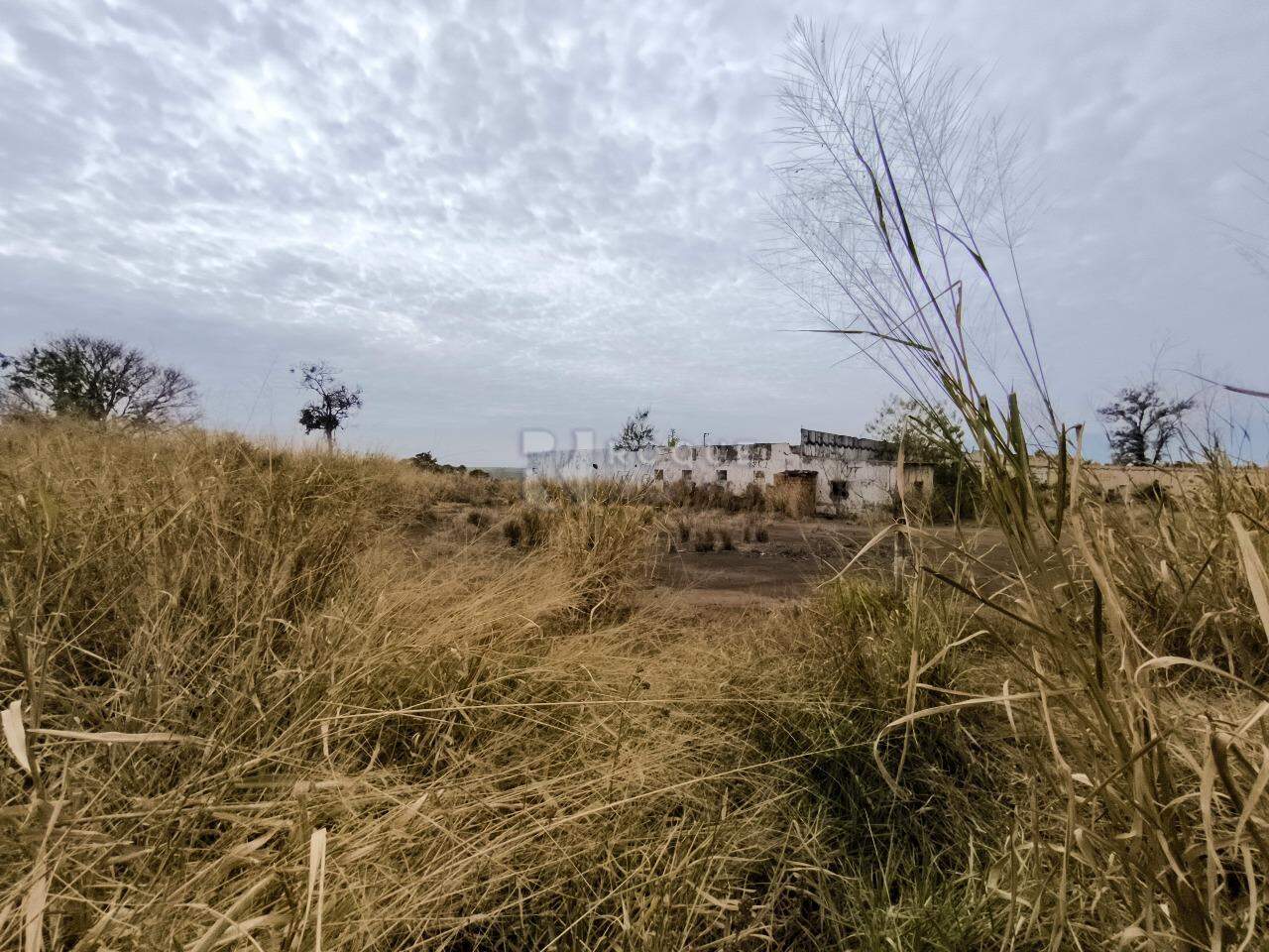 Área à venda no bairro Área Rural de Limeira: 