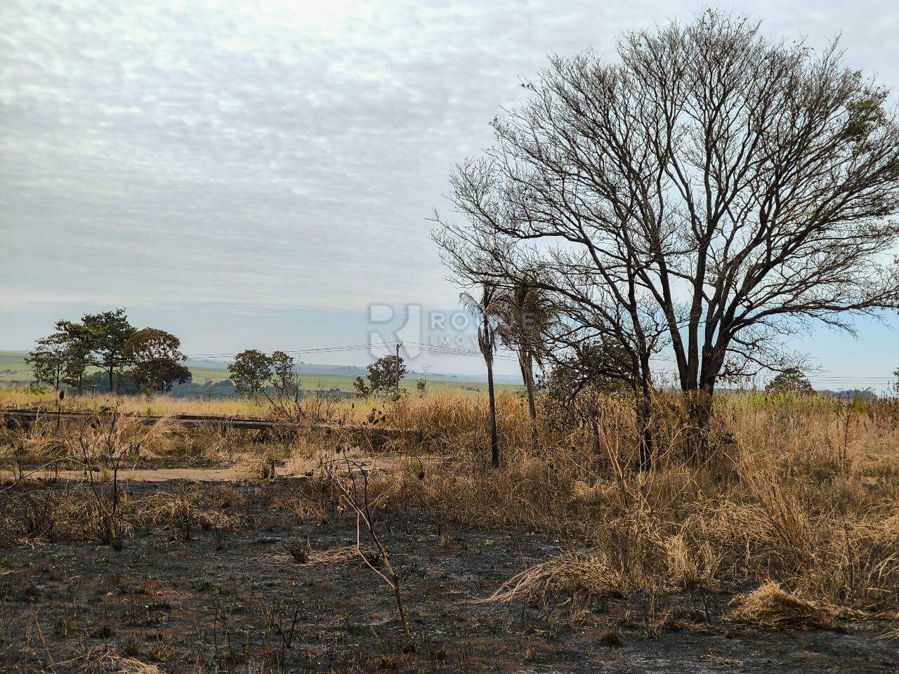 Área à venda no bairro Área Rural de Limeira: 