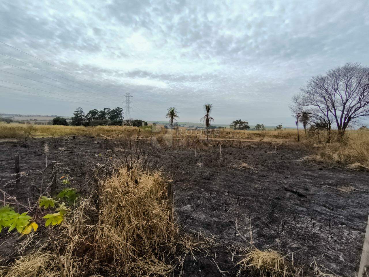 Área à venda no bairro Área Rural de Limeira: 