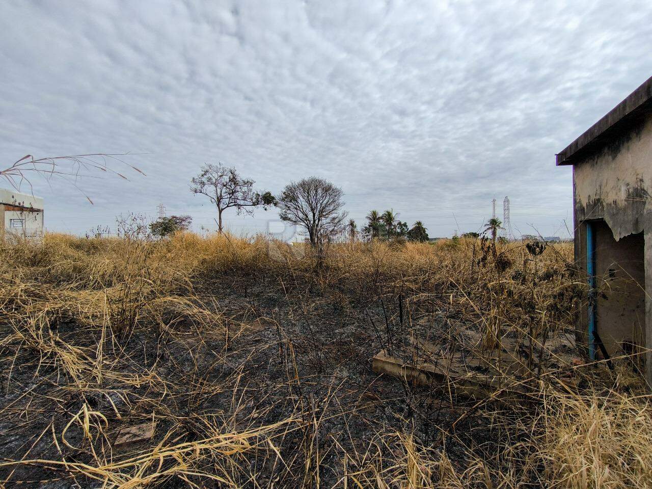 Área à venda no bairro Área Rural de Limeira: 