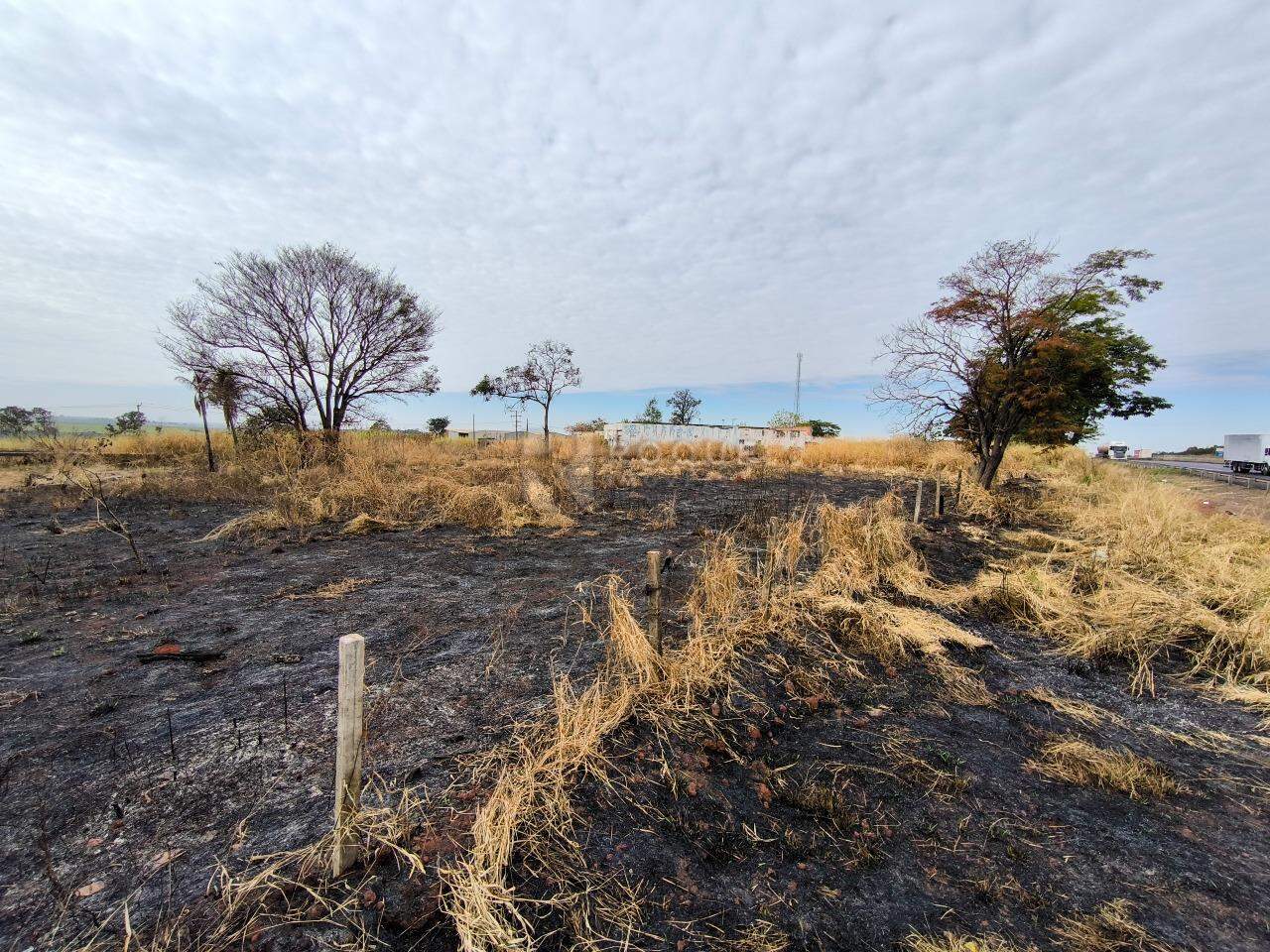 Área à venda no bairro Área Rural de Limeira: 